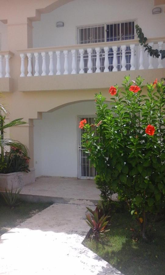Residencial Las Palmeras De Willy Boca Chica Kültér fotó